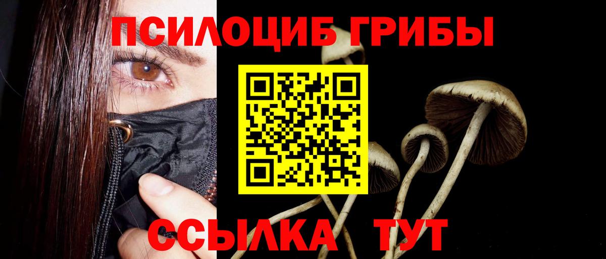 Галлюциногенные грибы Cubensis  Вход с VPN  Учалы  Галлюциногенные грибы мухоморы 